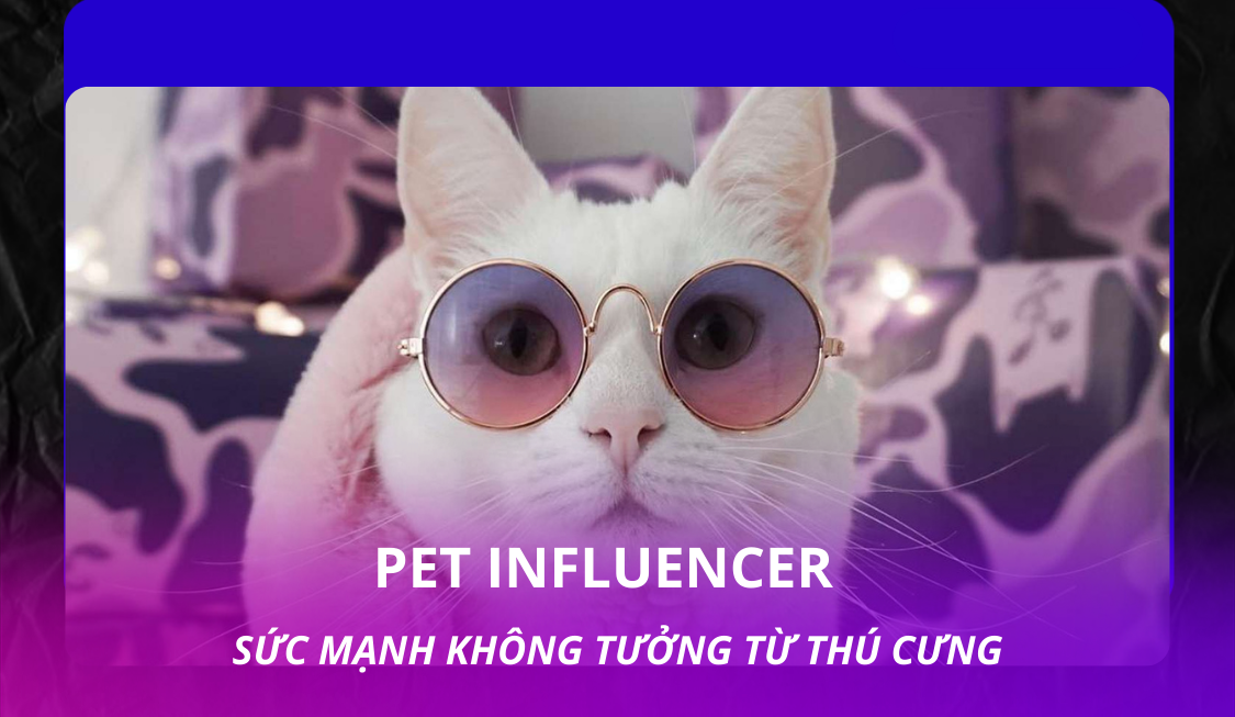 Pet Influencer – Sức mạnh không tưởng từ thú cưng