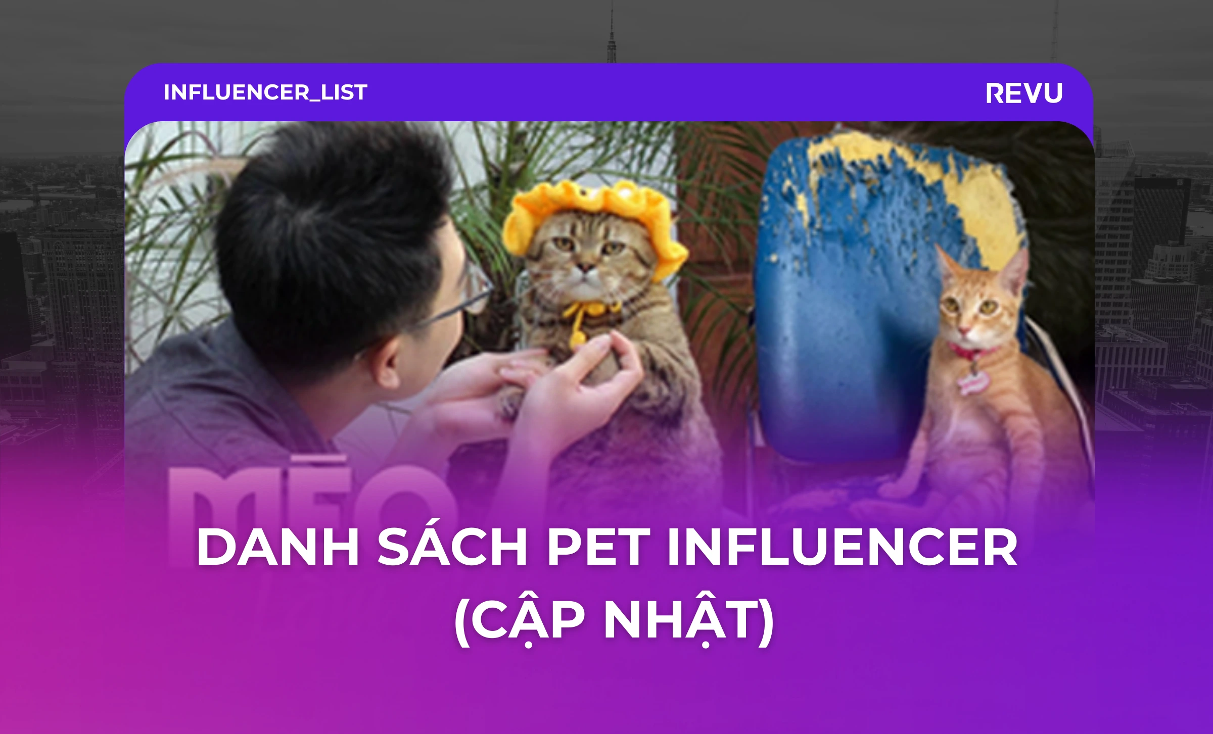 DANH SÁCH PET INFLUENCER (CẬP NHẬT)