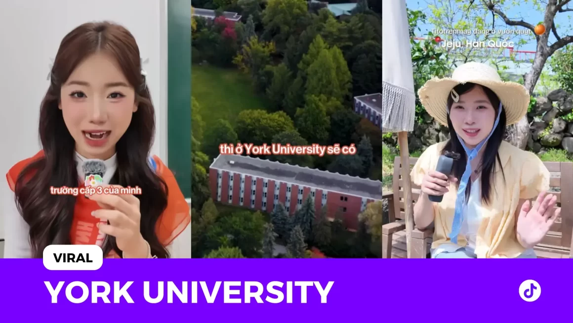York University viral 3.8 triệu view: Đồng cảm câu chuyện du học
