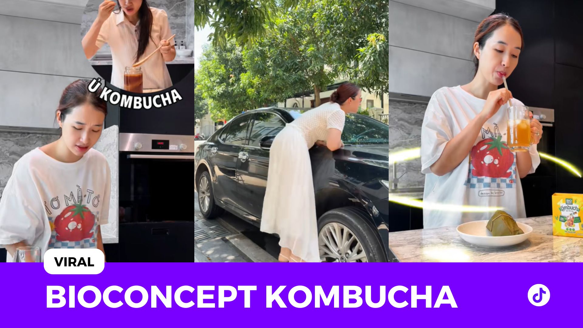 bioconcept kombucha