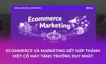Ecommerce và Marketing kết hợp thành một cỗ máy tăng trưởng duy nhất