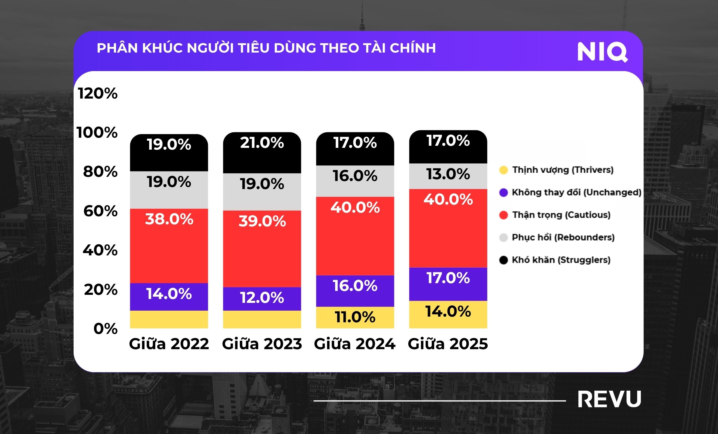 Phân khúc người tiêu dùng theo tài chính (Economic divide)