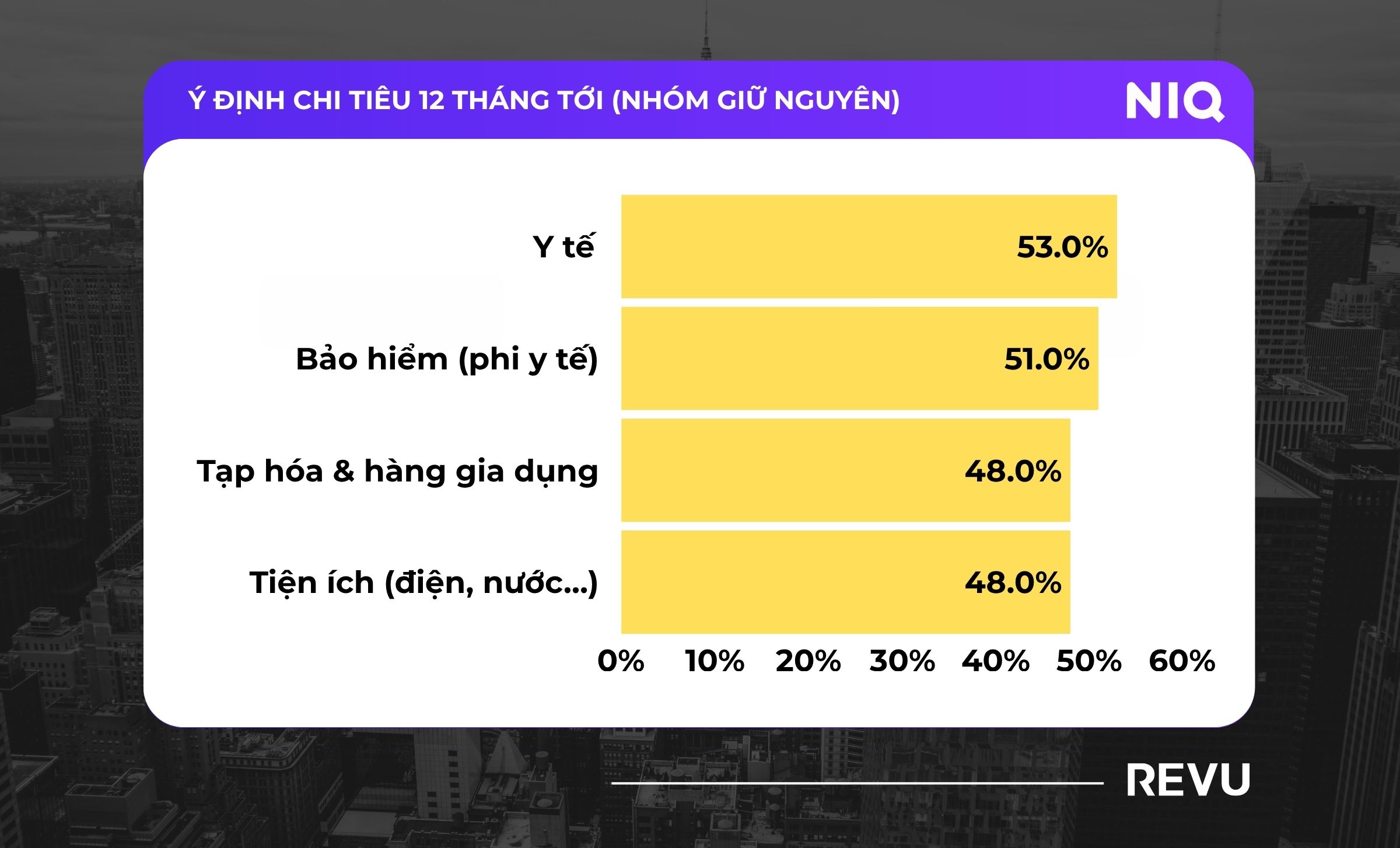 Ý định chi tiêu 12 tháng tới (2)