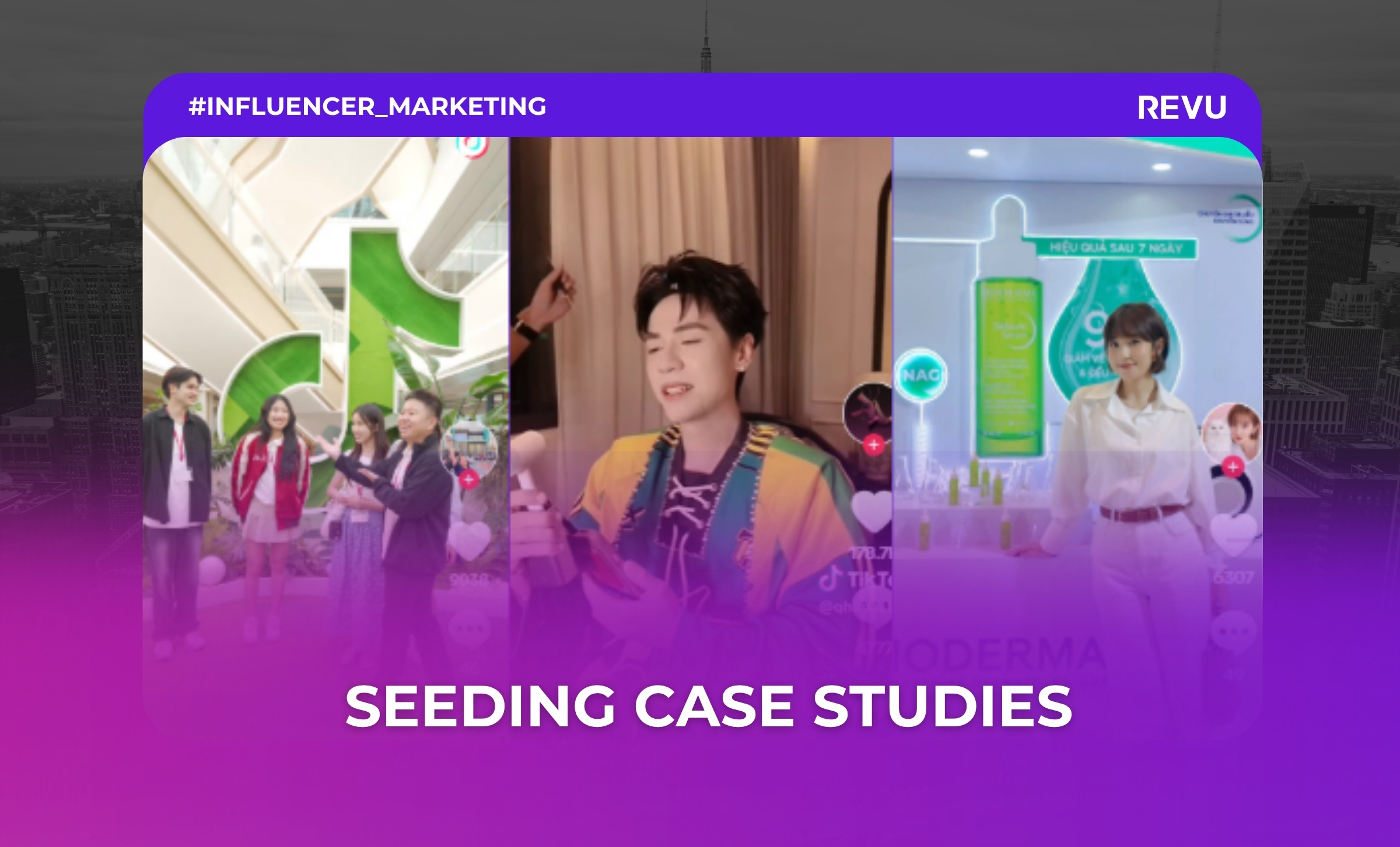 seeding-la-gi